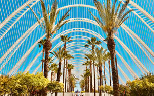 L'umbracle Sculpture Garden Valencia Wallpaper