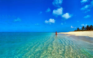 Lady In Mauritius Beach Wallpaper