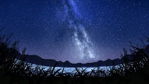 Lake Grass Anime Night Sky Wallpaper