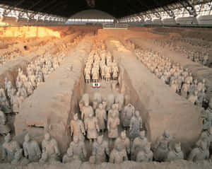 Large Interior Terracotta Warriors China Museum Wallpaper