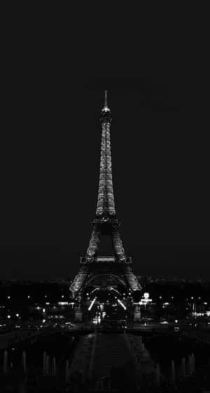 Large Public Greenspace Phone Wallpaper