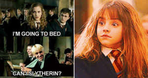 Let The Mischief Begin! Wallpaper