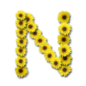 Letter N Sunflowers Wallpaper