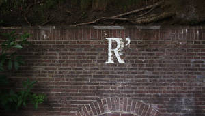 Letter R On The Wall Wallpaper