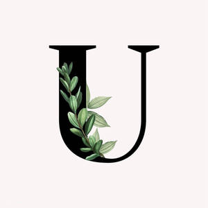 Letter U Design Wallpaper