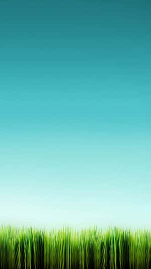 Lg G4 Tall Grass Wallpaper