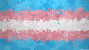 Lgbt Transgender Flag Paint Wallpaper