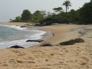 Liberia Seashore Wallpaper
