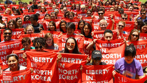 Liberty In North Korea Protesters Wallpaper