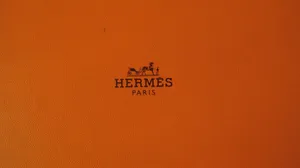 Light Brown Textured Hermes Wallpaper