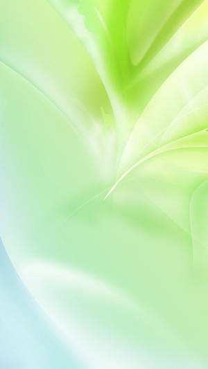 Light Green Aesthetic Abstract Gradient Wallpaper