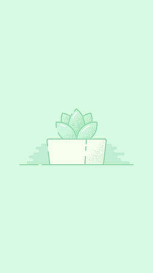 Light Green Aesthetic Succulent Wallpaper