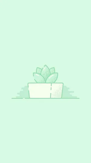 Light Green Aesthetic Succulent Wallpaper