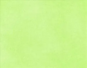 Light Green Fabric Texture Wallpaper