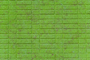 Light Green Plain Brick Wallpaper