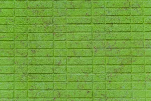 Light Green Plain Brick Wallpaper