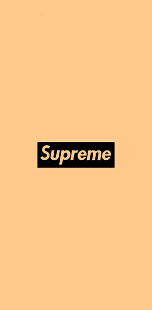 Light Orange Supreme Wallpaper