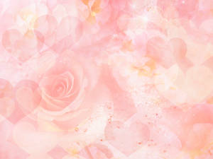 Light Pink Rose And Hearts Wallpaper