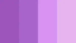 Lilac Color In The Wild. Wallpaper