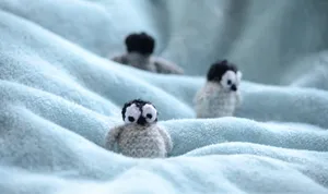 Little Crocheted Baby Penguins Wallpaper
