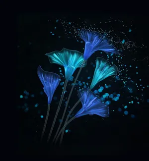 Live In Color And Live In Beauty Wallpaper