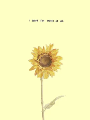 Lonely Sunflower Yellow Tumblr Aesthetic Wallpaper