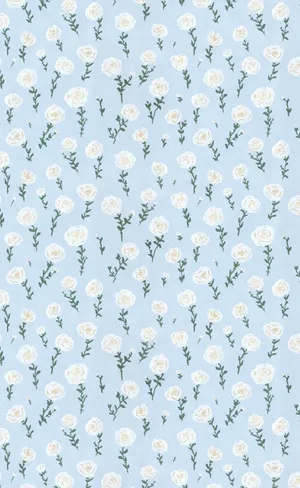 Look Effortlessly Stylish With The Latest Trends In Fashion Wallpaper