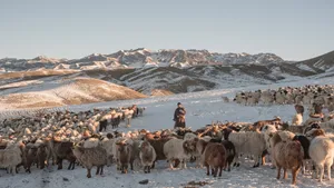 Loro Piana Sustainable Sources Wallpaper