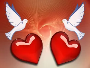 Love Birds 2d Art Wallpaper