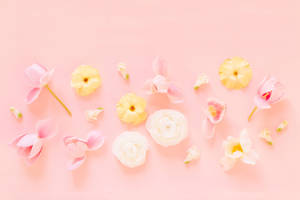 Lovely Flowers On Pink Pastel Wallpaper