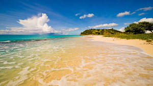 Low Tide Caribbean Barbuda Beach Wallpaper