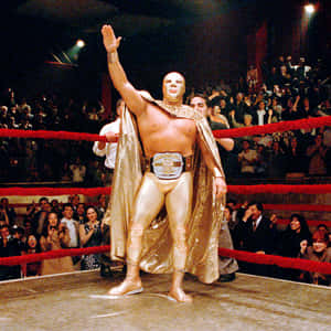 Luchador Silver King Victory Pose Wallpaper