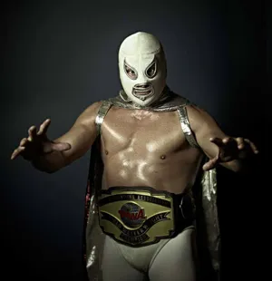 Luchadorin Silver Mask Wallpaper
