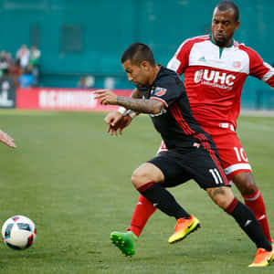 Luciano Acosta New England Nathan Elder Wallpaper