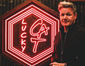 Lucky Cat By Gordon Ramsay Wallpaper