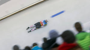 Luge Sport From The Stands Wallpaper