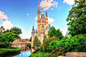 Lush Greenery At Walt Disney World Desktop Wallpaper