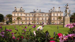 Luxembourg Palace Flowers Wallpaper
