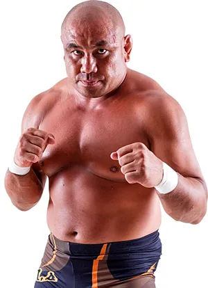 M M A Fighter Ready Stance Wallpaper