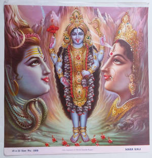 Maa Kali With Indian Gods Beside Her Wallpaper