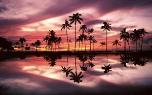 Macbook Air Island Sunset Wallpaper