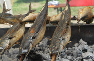 Mackerel Fish In Grill Wallpaper