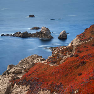 Macos Big Sur Sea Wallpaper