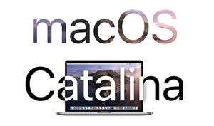 Macos Catalina Laptop Wallpaper