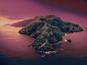 Macos Catalina Pink Sky Wallpaper