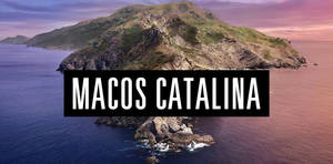 Macos Catalina Text Wallpaper