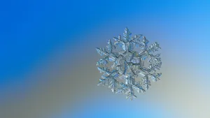 Macro Photo Of Frosted Snowflake Wallpaper