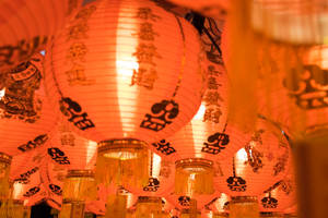 Macro Shot Photography Of Paper Lantern Wallpaper