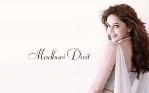 Madhuri Dixit Elegant Pose Wallpaper