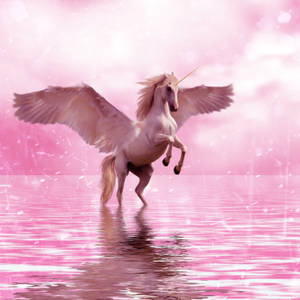 Magical, Majestic Unicorn Swimming In A Pink River. Wallpaper